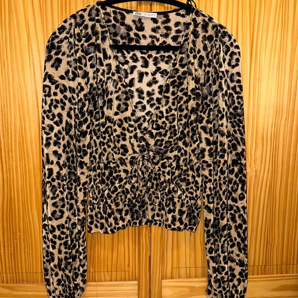 Zara Printed Long Sleeve Top with a Tie in the front